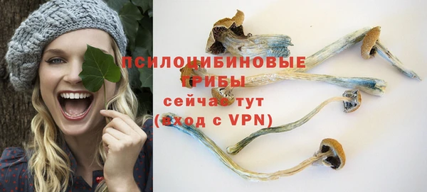 хмурый Волоколамск