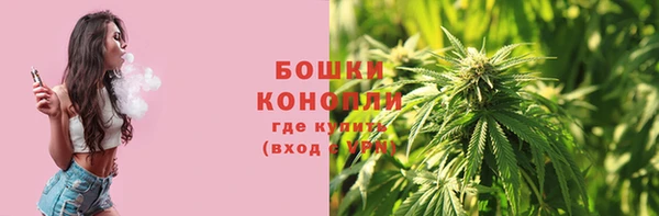 стафф Володарск