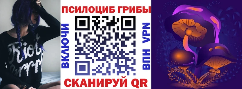 Купить где  Сельцо  Галлюциногенные грибы Magic Shrooms 